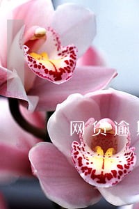 网贷逾期威胁上门