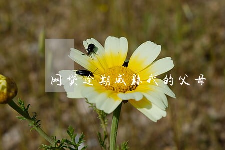 网贷逾期威胁我的父母 网贷逾期威胁我的父母