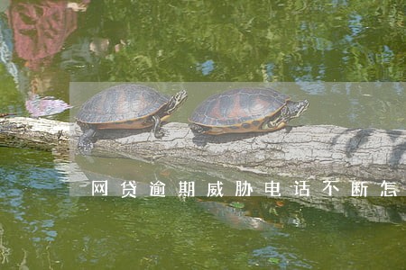 网贷逾期威胁电话不断怎么办 网贷逾期威胁电话不断怎么办