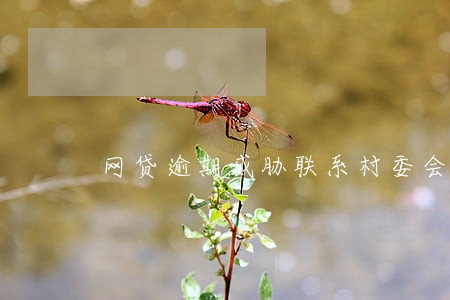 网贷逾期威胁联系村委会 网贷逾期威胁联系村委会