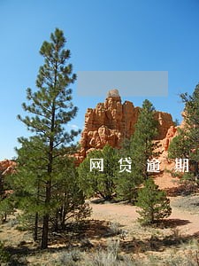 网贷逾期威胁联系村委会上门 网贷逾期威胁联系村委会上门