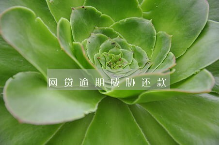 网贷逾期威胁还款 网贷逾期威胁还款