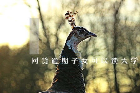 网贷逾期子女可以读大学吗 网贷逾期子女可以读大学吗