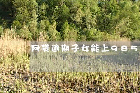 网贷逾期子女能上985大学吗 网贷逾期子女能上985大学吗