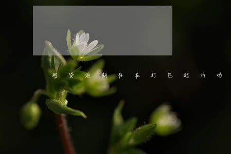 网贷逾期存在打包起诉吗 网贷逾期存在打包起诉吗