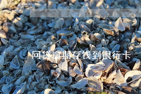 网贷逾期存钱到银行卡 网贷逾期存钱到银行卡