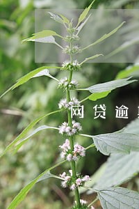 网贷逾期存钱进卡会怎样 网贷逾期存钱进卡会怎样