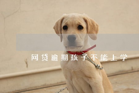 网贷逾期孩子不能上学 网贷逾期孩子不能上学