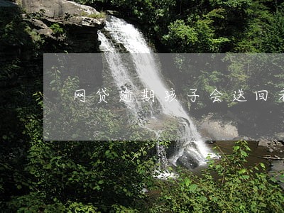 网贷逾期孩子会送回老家吗 网贷逾期孩子会送回老家吗
