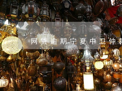网贷逾期宁夏中卫仲裁 网贷逾期宁夏中卫仲裁