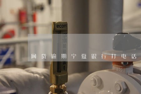 网贷逾期宁夏银行打电话 网贷逾期宁夏银行打电话