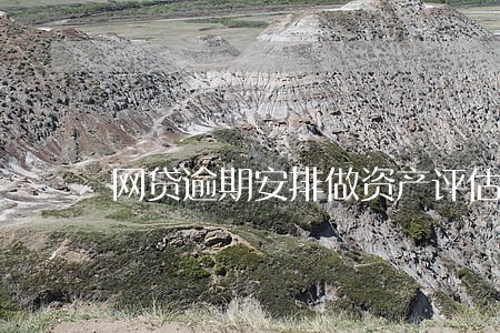 网贷逾期安排做资产评估 网贷逾期安排做资产评估
