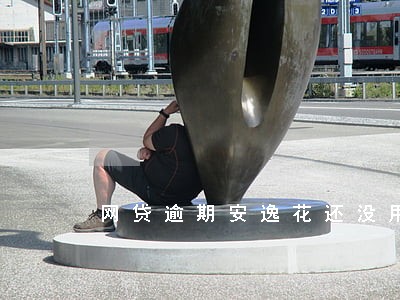 网贷逾期安逸花还没用吗 网贷逾期安逸花还没用吗