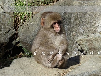 网贷逾期定义失联时间