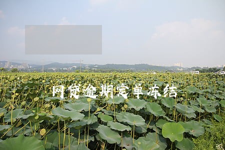 网贷逾期定单冻结 网贷逾期定单冻结