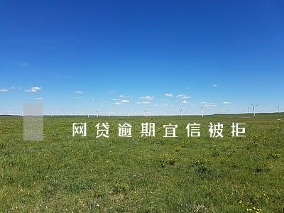 网贷逾期宜信被拒