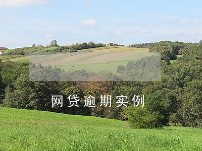 网贷逾期实例