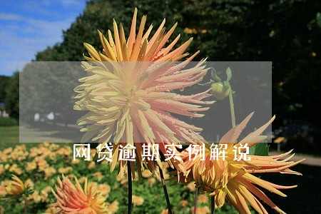 网贷逾期实例解说 网贷逾期实例解说
