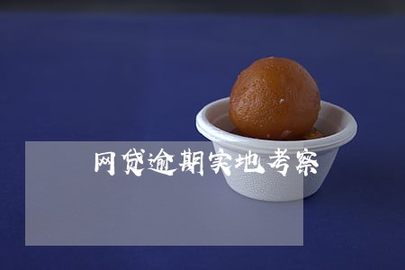 网贷逾期实地考察 网贷逾期实地考察