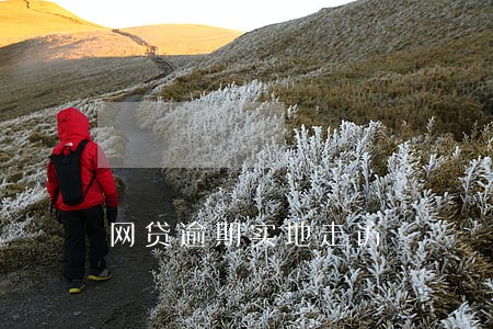 网贷逾期实地走访 网贷逾期实地走访