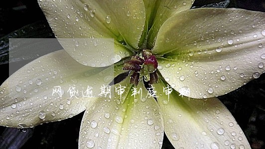 网贷逾期审判庭审判 网贷逾期审判庭审判