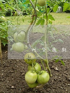 网贷逾期客户 网贷逾期客户