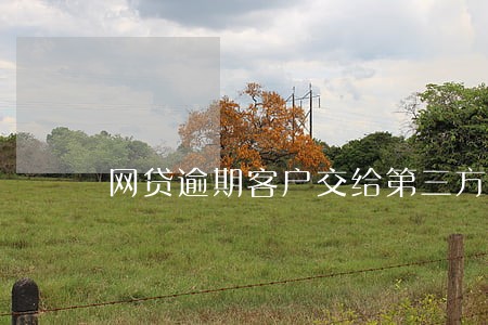 网贷逾期客户交给第三方处理 网贷逾期客户交给第三方处理