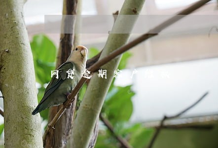 网贷逾期客户维权 网贷逾期客户维权