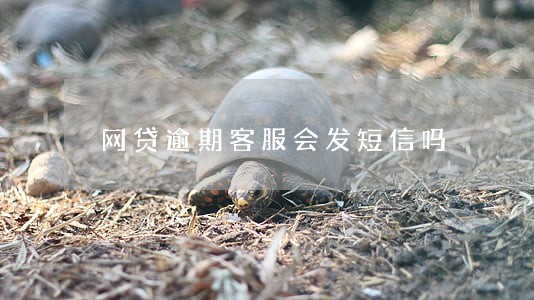 网贷逾期客服会发短信吗