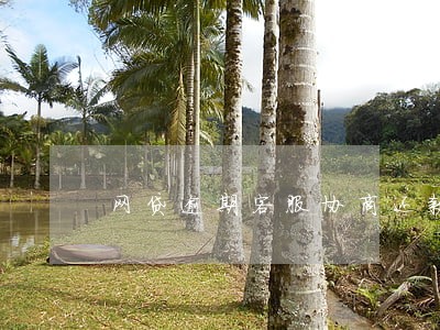 网贷逾期客服协商还款