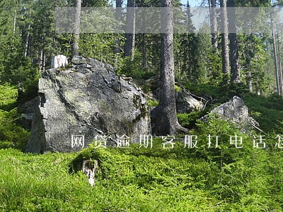 网贷逾期客服打电话怎么说 网贷逾期客服打电话怎么说