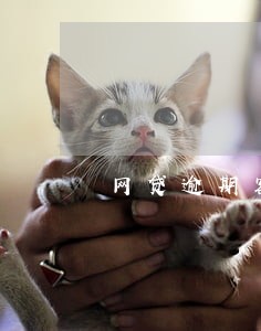 网贷逾期客服电话要接吗 网贷逾期客服电话要接吗