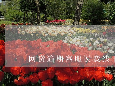 网贷逾期客服说要线下返款 网贷逾期客服说要线下返款
