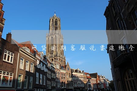 网贷逾期客服说要追缴全款