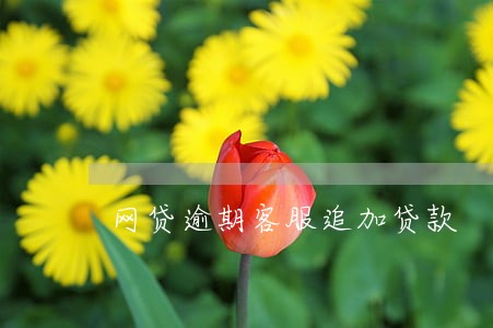 网贷逾期客服追加贷款 网贷逾期客服追加贷款