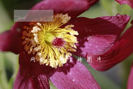 网贷逾期宣传图片 网贷逾期宣传图片