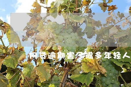网贷逾期害了很多年轻人 网贷逾期害了很多年轻人