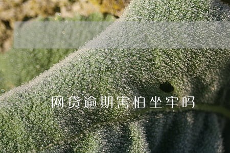 网贷逾期害怕坐牢吗 网贷逾期害怕坐牢吗