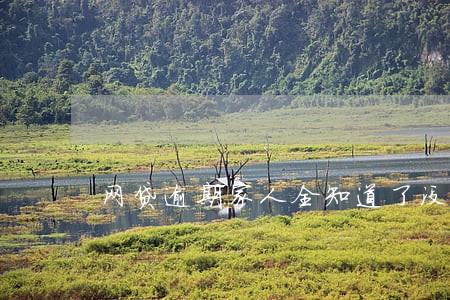 网贷逾期家人全知道了没脸回家 网贷逾期家人全知道了没脸回家