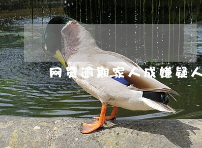 网贷逾期家人成嫌疑人 网贷逾期家人成嫌疑人