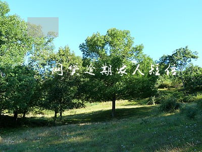 网贷逾期家人短信