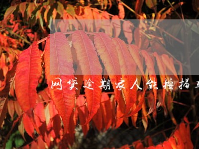 网贷逾期家人能按揭车 网贷逾期家人能按揭车