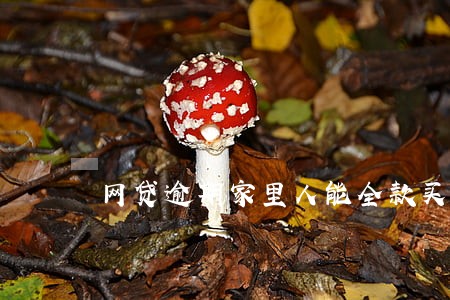 网贷逾期家里人能全款买房吗 网贷逾期家里人能全款买房吗