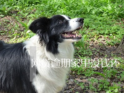 网贷逾期家里没钱还 网贷逾期家里没钱还
