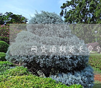 网贷逾期家长受到骚扰 网贷逾期家长受到骚扰