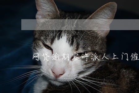 网贷逾期容许派人上门催缴吗