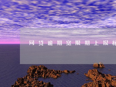 网贷逾期宽限期上报标准 网贷逾期宽限期上报标准