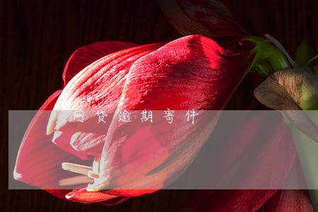 网贷逾期寄件 网贷逾期寄件