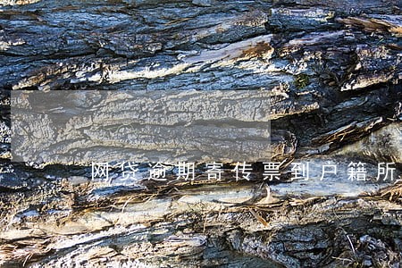 网贷逾期寄传票到户籍所在地 网贷逾期寄传票到户籍所在地
