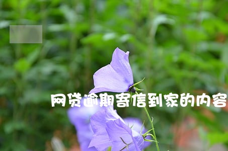 网贷逾期寄信到家的内容 网贷逾期寄信到家的内容